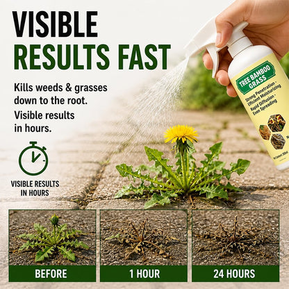 🌿🔥 Fast-acting Natural Weed & Grass Killer Spray